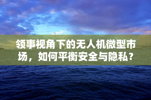 领事视角下的无人机微型市场，如何平衡安全与隐私？