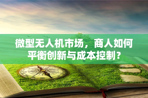 微型无人机市场，商人如何平衡创新与成本控制？