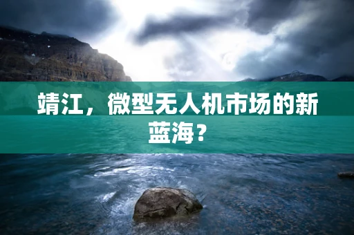 靖江，微型无人机市场的新蓝海？