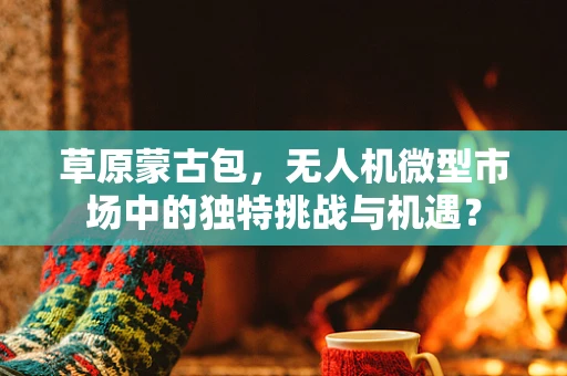 草原蒙古包，无人机微型市场中的独特挑战与机遇？