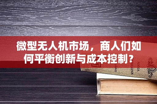 微型无人机市场，商人们如何平衡创新与成本控制？