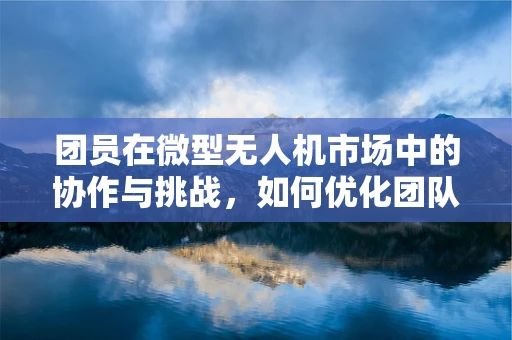 团员在微型无人机市场中的协作与挑战，如何优化团队配置以提升效能？