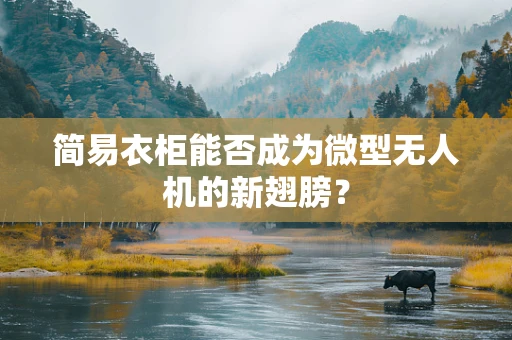 简易衣柜能否成为微型无人机的新翅膀？