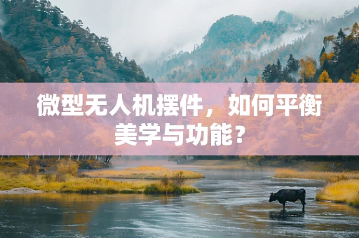 微型无人机摆件，如何平衡美学与功能？