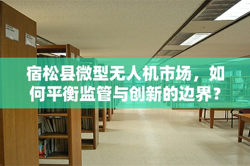 宿松县微型无人机市场，如何平衡监管与创新的边界？