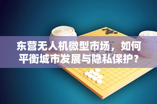 东营无人机微型市场，如何平衡城市发展与隐私保护？