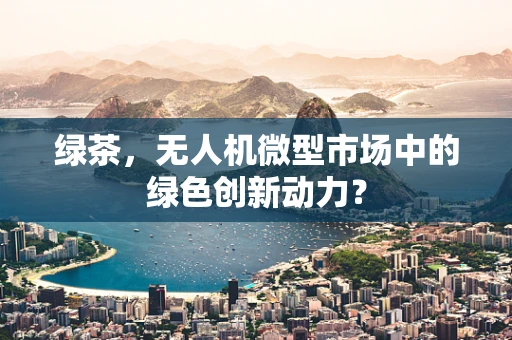 绿茶，无人机微型市场中的绿色创新动力？