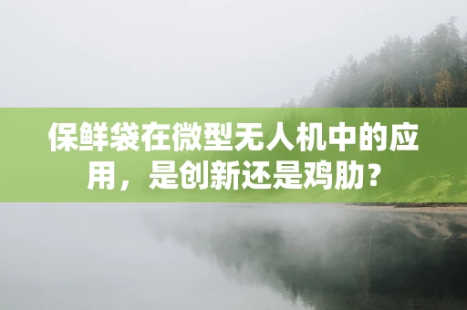 保鲜袋在微型无人机中的应用，是创新还是鸡肋？