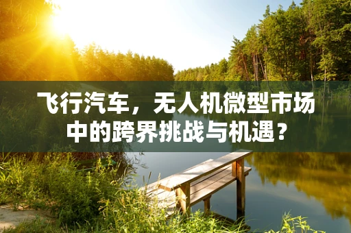 飞行汽车，无人机微型市场中的跨界挑战与机遇？