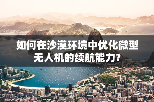 如何在沙漠环境中优化微型无人机的续航能力？