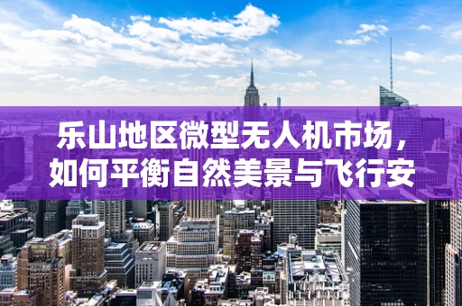 乐山地区微型无人机市场，如何平衡自然美景与飞行安全？