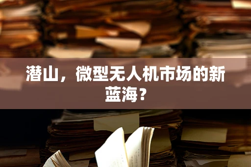 潜山，微型无人机市场的新蓝海？