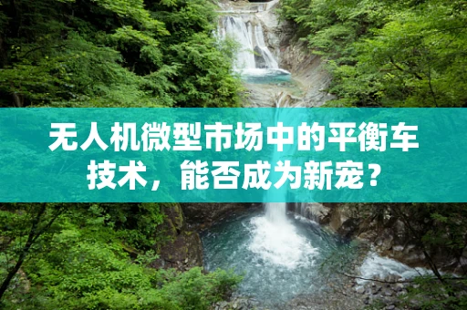 无人机微型市场中的平衡车技术，能否成为新宠？