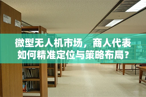 微型无人机市场，商人代表如何精准定位与策略布局？