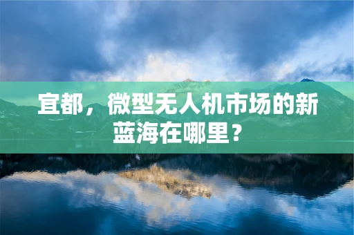 宜都，微型无人机市场的新蓝海在哪里？