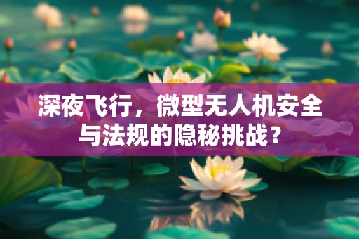 深夜飞行，微型无人机安全与法规的隐秘挑战？