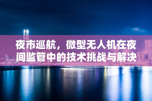 夜市巡航，微型无人机在夜间监管中的技术挑战与解决方案