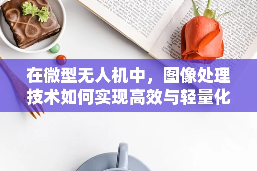 在微型无人机中，图像处理技术如何实现高效与轻量化的平衡？