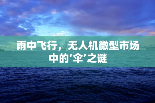 雨中飞行，无人机微型市场中的‘伞’之谜