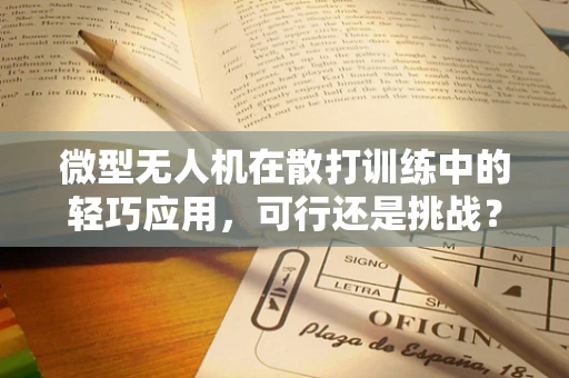 微型无人机在散打训练中的轻巧应用，可行还是挑战？