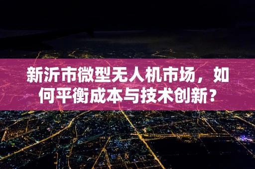 新沂市微型无人机市场，如何平衡成本与技术创新？