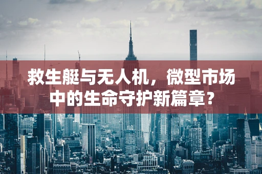 救生艇与无人机，微型市场中的生命守护新篇章？