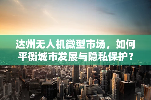 达州无人机微型市场，如何平衡城市发展与隐私保护？