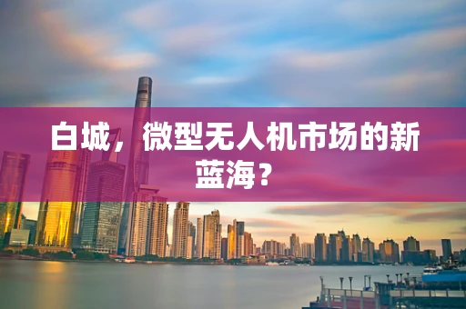 白城，微型无人机市场的新蓝海？