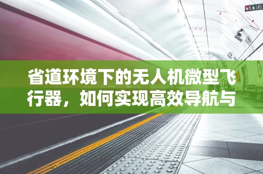 省道环境下的无人机微型飞行器，如何实现高效导航与避障？