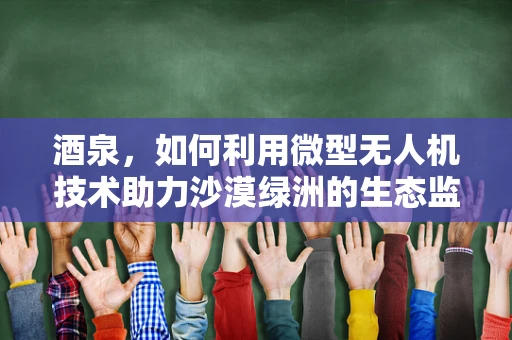 酒泉，如何利用微型无人机技术助力沙漠绿洲的生态监测？