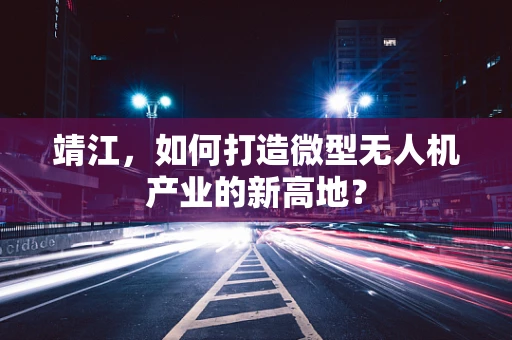 靖江，如何打造微型无人机产业的新高地？