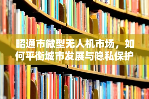 昭通市微型无人机市场，如何平衡城市发展与隐私保护？