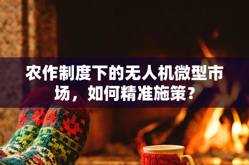 农作制度下的无人机微型市场，如何精准施策？