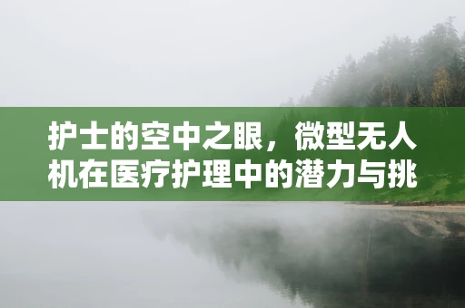 护士的空中之眼，微型无人机在医疗护理中的潜力与挑战