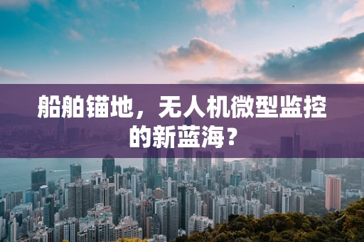 船舶锚地，无人机微型监控的新蓝海？