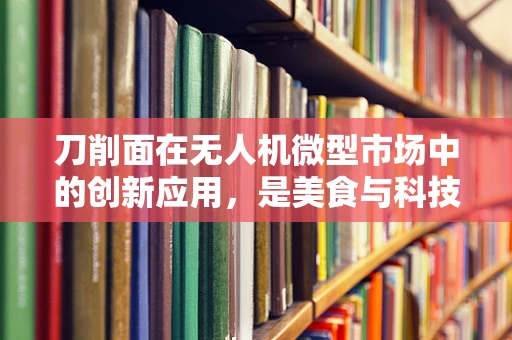 刀削面在无人机微型市场中的创新应用，是美食与科技的完美融合吗？