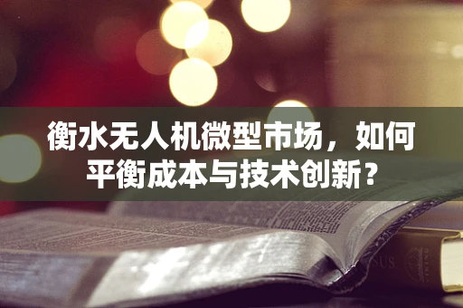 衡水无人机微型市场，如何平衡成本与技术创新？