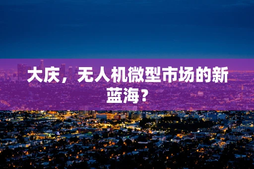 大庆，无人机微型市场的新蓝海？