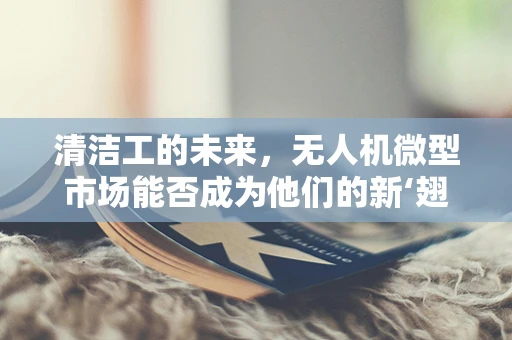 清洁工的未来，无人机微型市场能否成为他们的新‘翅膀’？