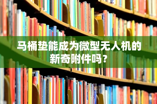 马桶垫能成为微型无人机的新奇附件吗？