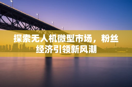 探索无人机微型市场，粉丝经济引领新风潮