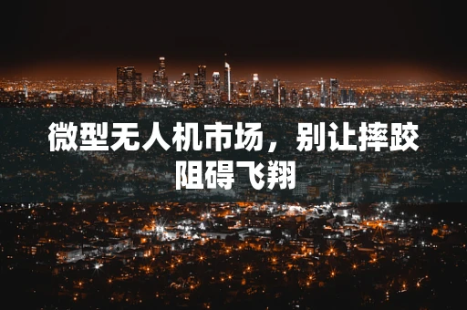 微型无人机市场，别让摔跤阻碍飞翔