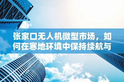 张家口无人机微型市场，如何在寒地环境中保持续航与性能的平衡？