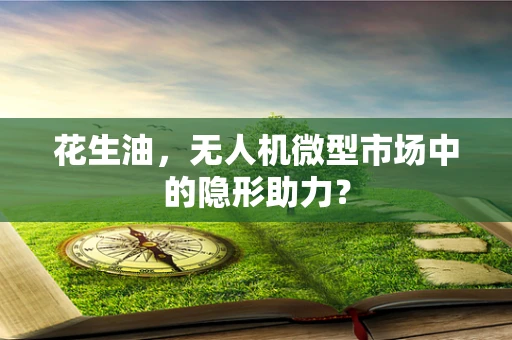 花生油，无人机微型市场中的隐形助力？