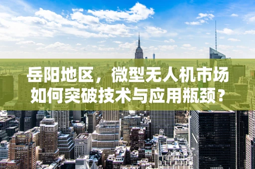 岳阳地区，微型无人机市场如何突破技术与应用瓶颈？