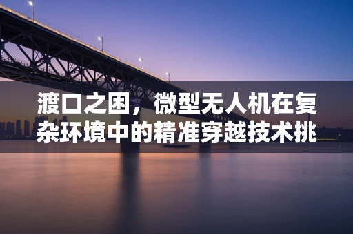 渡口之困，微型无人机在复杂环境中的精准穿越技术挑战