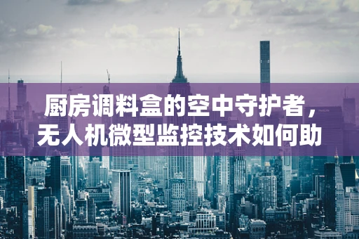 厨房调料盒的空中守护者，无人机微型监控技术如何助力安全存储？