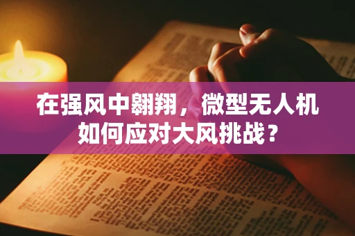 在强风中翱翔，微型无人机如何应对大风挑战？