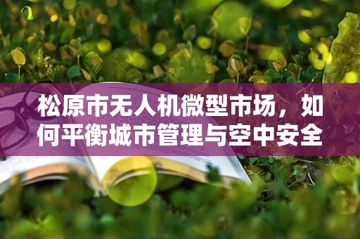 松原市无人机微型市场，如何平衡城市管理与空中安全？