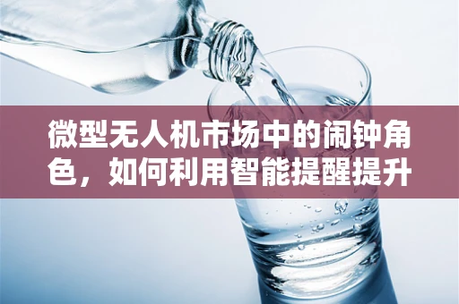 微型无人机市场中的闹钟角色，如何利用智能提醒提升飞行安全？